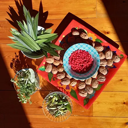 Riga's Pinakoti Casa de hóspedes Pinakátai