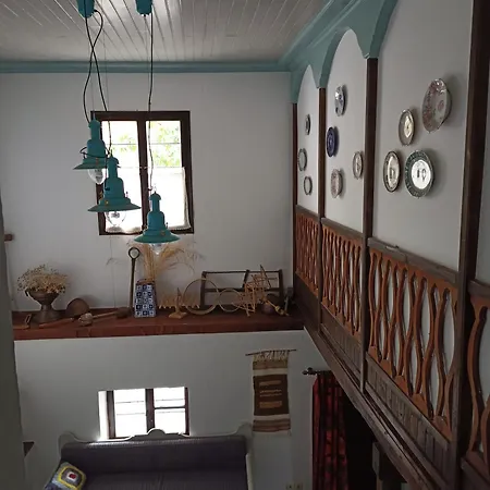 Riga's Pinakoti * Pinakátai